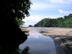 Freshwater river coming out of the mountains on the islan... by Charlie Foreman 